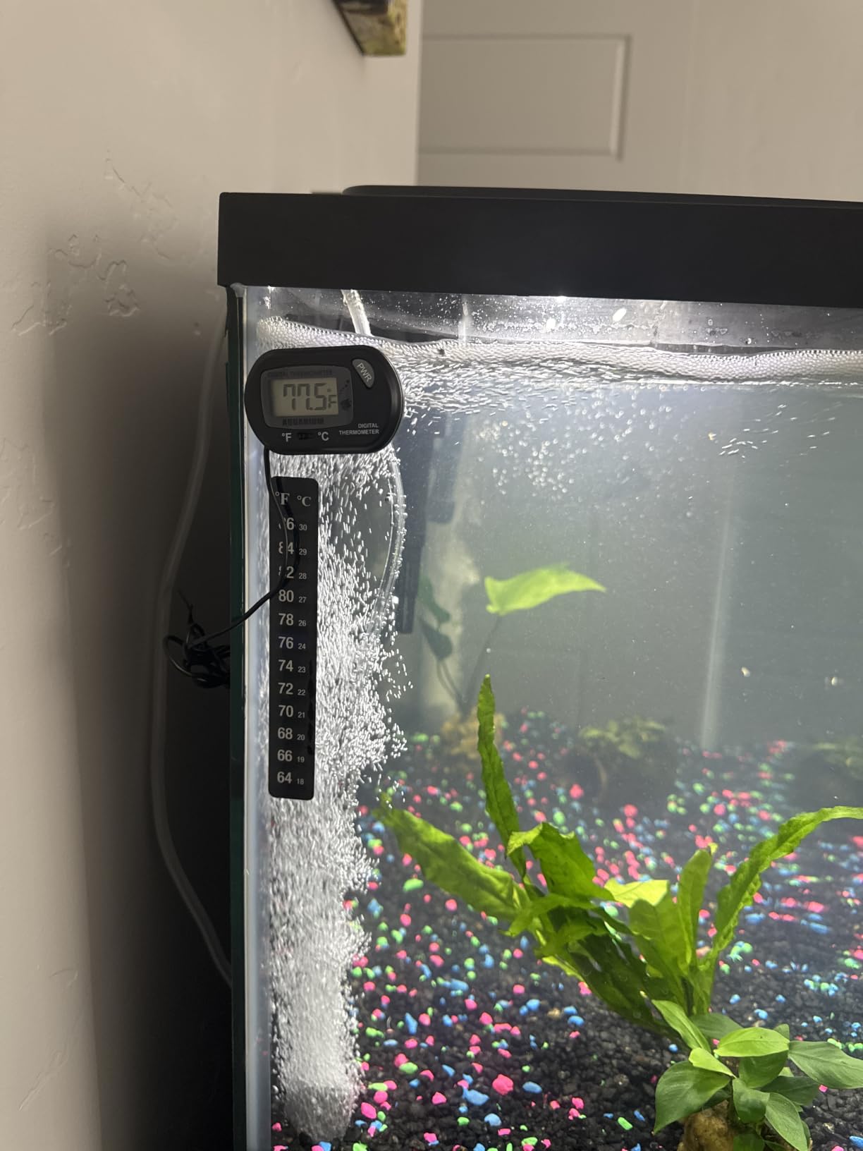 Zacro 2 Pack Digital Aquarium Thermometer, Fish Tank Thermometer, Water Thermometer with Large LCD Display, Reptile Thermometer for Fish Tank Water Terrarium customer photo 2