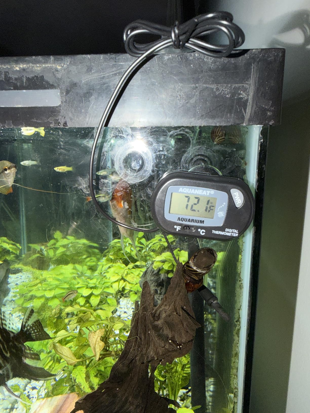 AQUANEAT Aquarium Thermometer, Fish Tank Thermometer, Digital Temperature Test, with Large LCD Display (1 Pack) customer photo 1