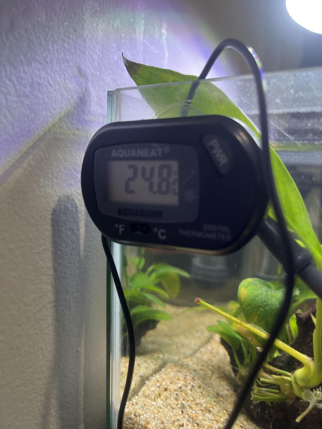 AQUANEAT Aquarium Thermometer, Fish Tank Thermometer, Digital Temperature Test, with Large LCD Display (1 Pack) customer photo 2