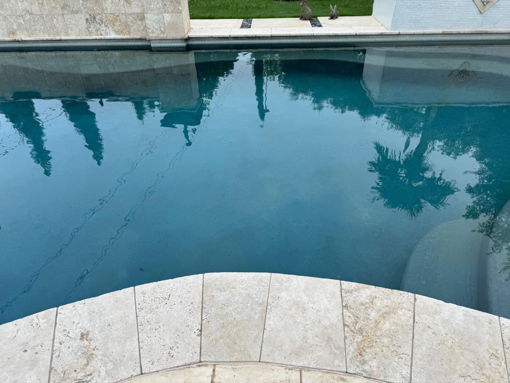 Dolphin Proteus DX4 Plus Automatic Robotic Pool Cleaner Ideal for Pools up to 33 FT, Wall & Sun-ledge Scrubbing, Top-Load Filter, Smart Navigation customer photo 1