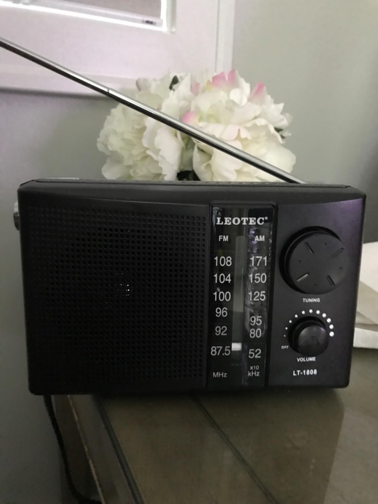 LEOTEC Portable AM FM Radio with Best Reception, Battery Operated or AC Power, Big Speaker, Large Tuning Knob, Clear Dial, Earphone Jack for Gift, Elder, Home customer photo 2