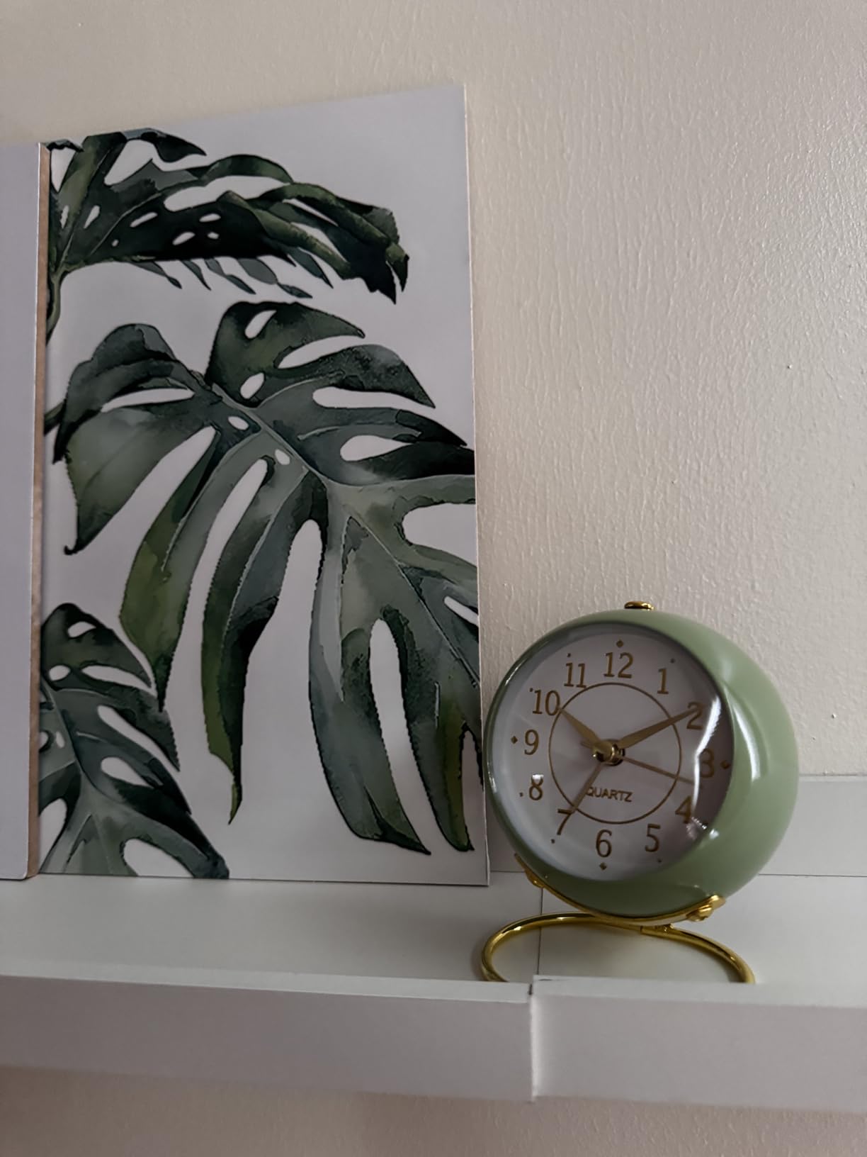 Tetino Analog Alarm Clocks, Retro Backlight Cute Simple Design Alarm Clock with Night Light, Silent Non-Ticking, Battery Powered, for Kids, Bedroom, Travel, Kitchen, Bedside Desktop Decor (Green) customer photo 1