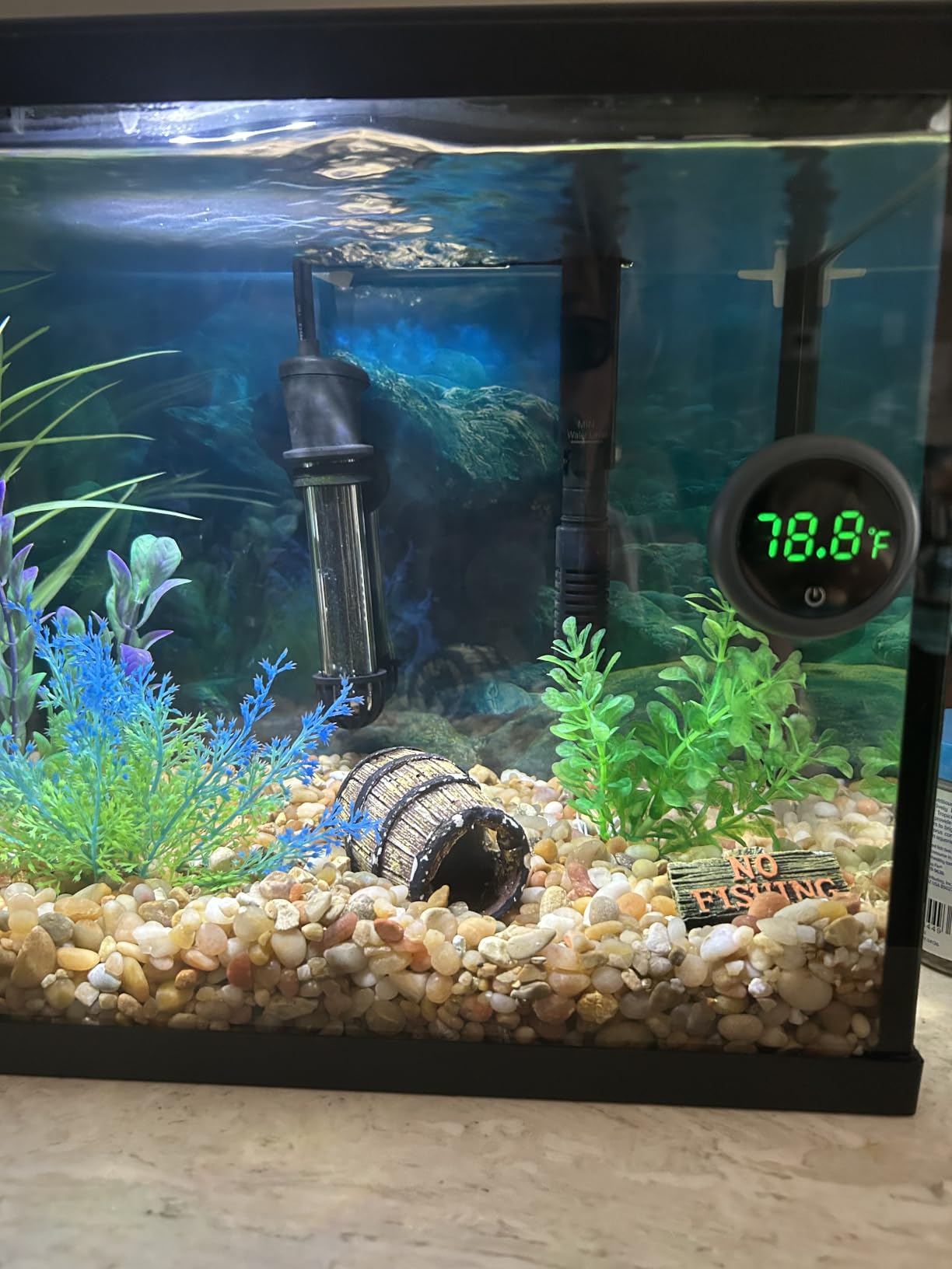 PAIZOO Aquarium Thermometer Digital, Highly Accurate Fish Tank Thermometer | LED Display, 8000h Battery Life, Precise Temp Gauge, Range 0-140℉, Stick-on Fish Tank Thermometer for Betta, Axolotl & Turtle customer photo 1