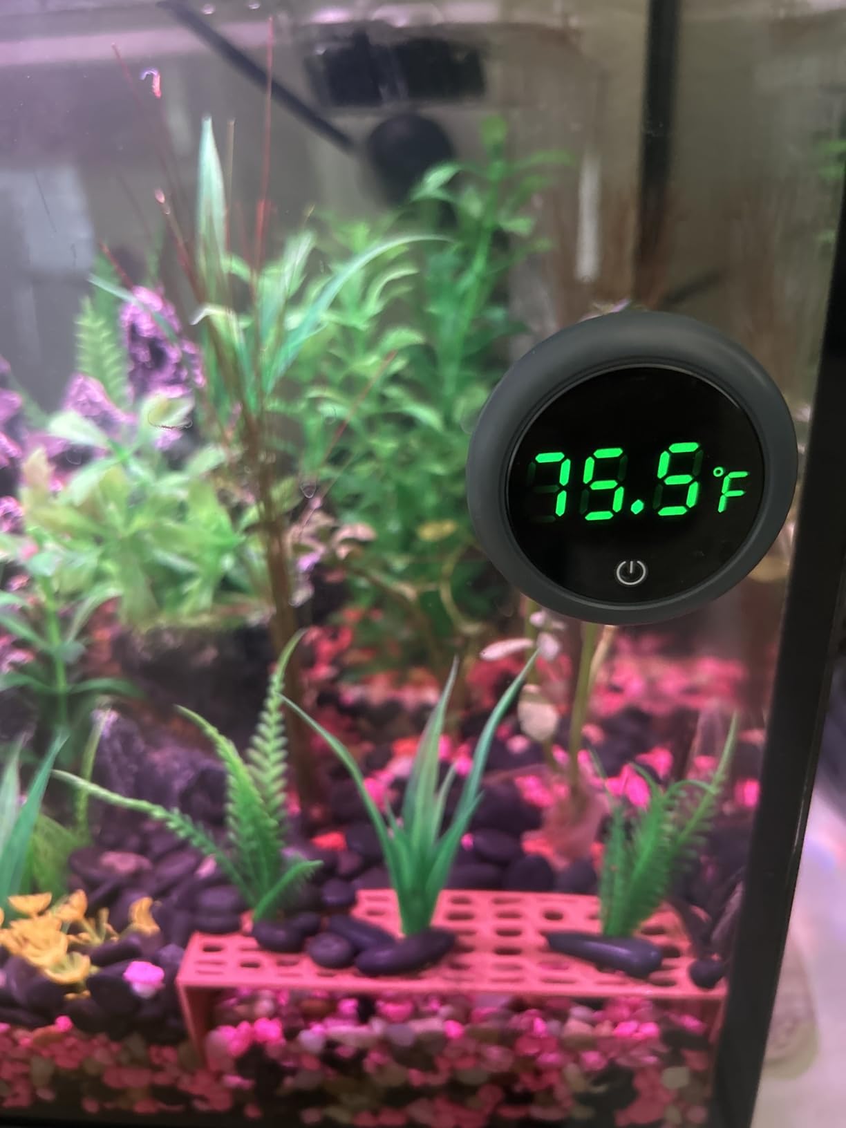 PAIZOO Aquarium Thermometer Digital, Highly Accurate Fish Tank Thermometer | LED Display, 8000h Battery Life, Precise Temp Gauge, Range 0-140℉, Stick-on Fish Tank Thermometer for Betta, Axolotl & Turtle customer photo 2