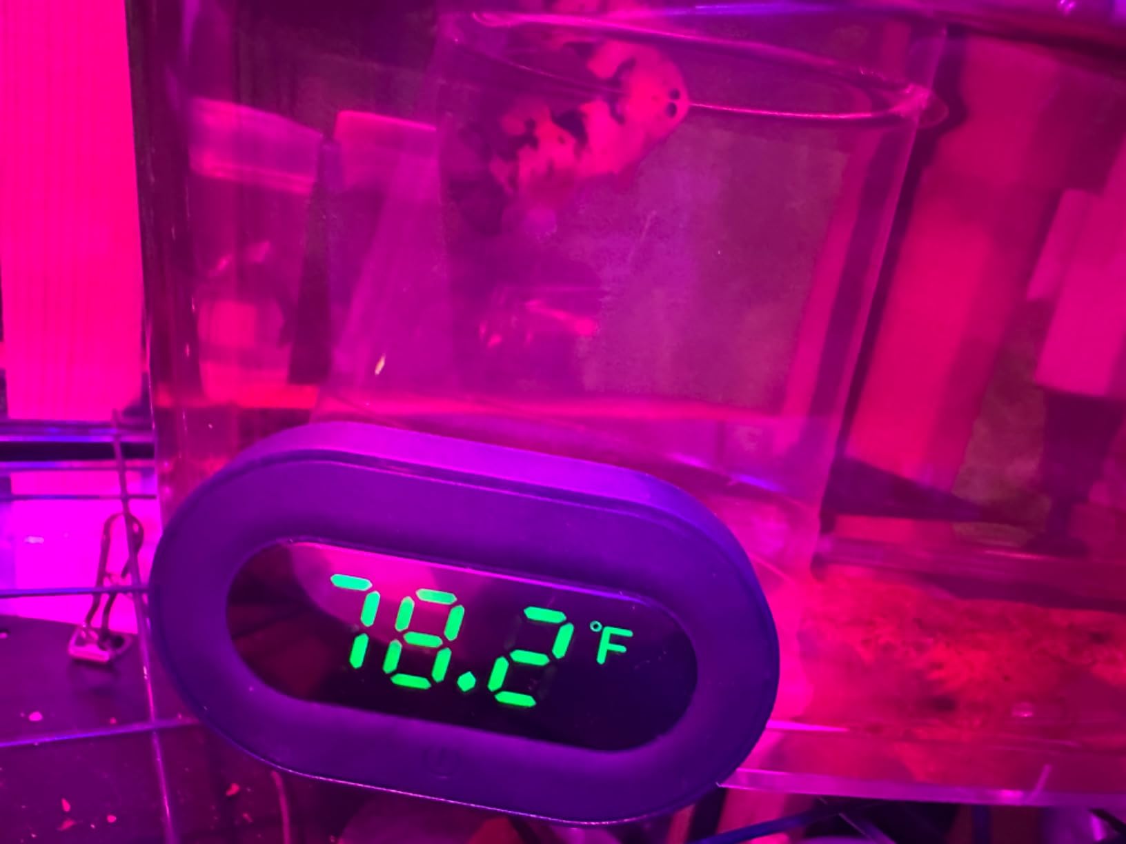 PAIZOO LED Digital Fish Tank Thermometer Stick on Highly Accurate ±0.9℉ | Replaceable Battery, Refresh Every 5s, Wireless Digital Thermometer for Fish Tank, Freshwater and Saltwater, White Display customer photo 2