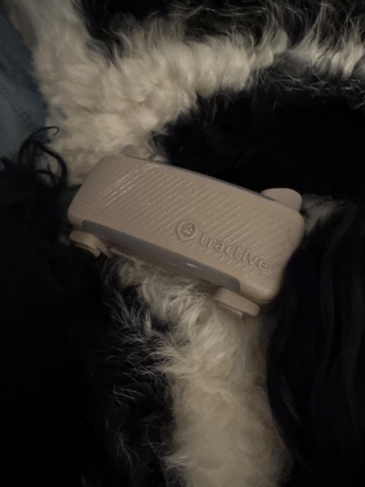 Tractive Smart Dog GPS Tracker - Live GPS Location Tracking for Dogs, Activity Monitor, Sleep Tracking, Virtual Fence, Worldwide Coverage, Works with Any Collar customer photo 2