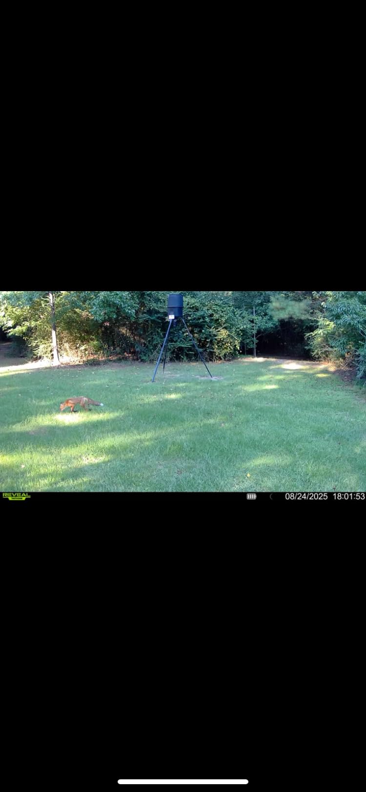 Tactacam Reveal X 3.0 Cellular Trail Camera - Auto Connect 4G LTE, 4K Photo, 1080p Video, Low-Glow IR Flash, No SD Card Needed, Long Battery Life, Best Hunting & Property Camera customer photo 1