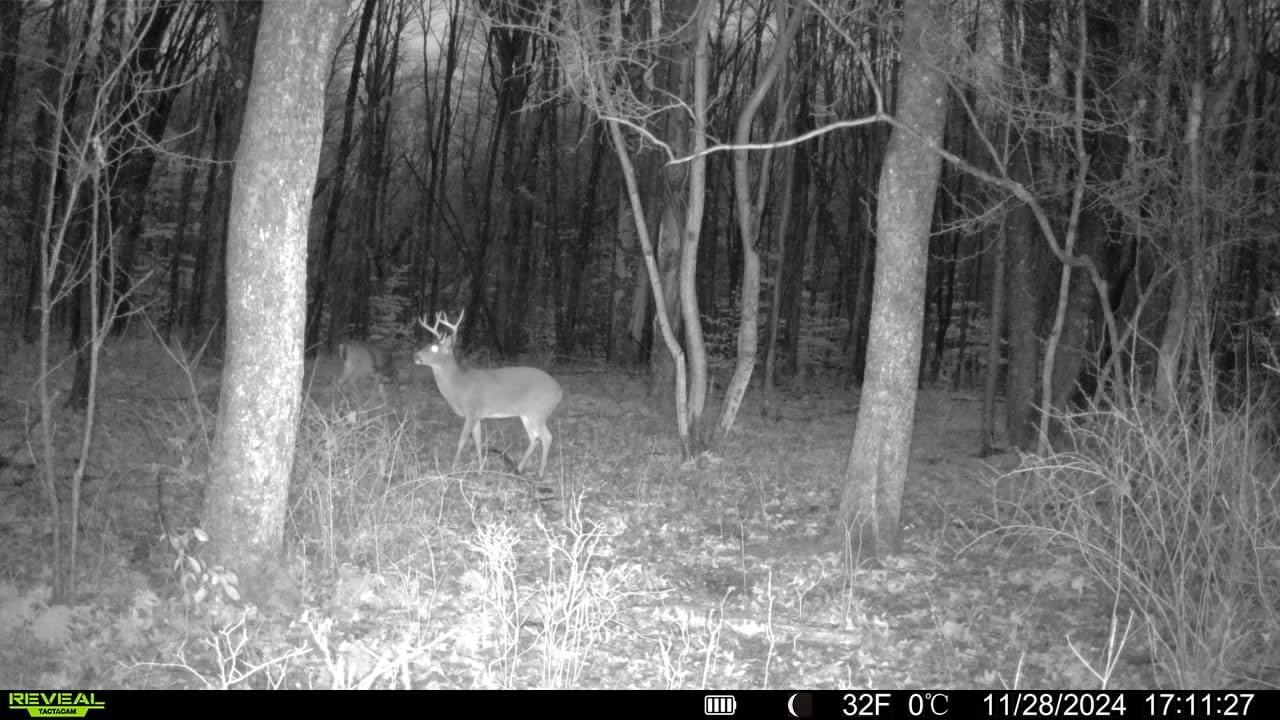 Tactacam Reveal X 3.0 Cellular Trail Camera - Auto Connect 4G LTE, 4K Photo, 1080p Video, Low-Glow IR Flash, No SD Card Needed, Long Battery Life, Best Hunting & Property Camera customer photo 2