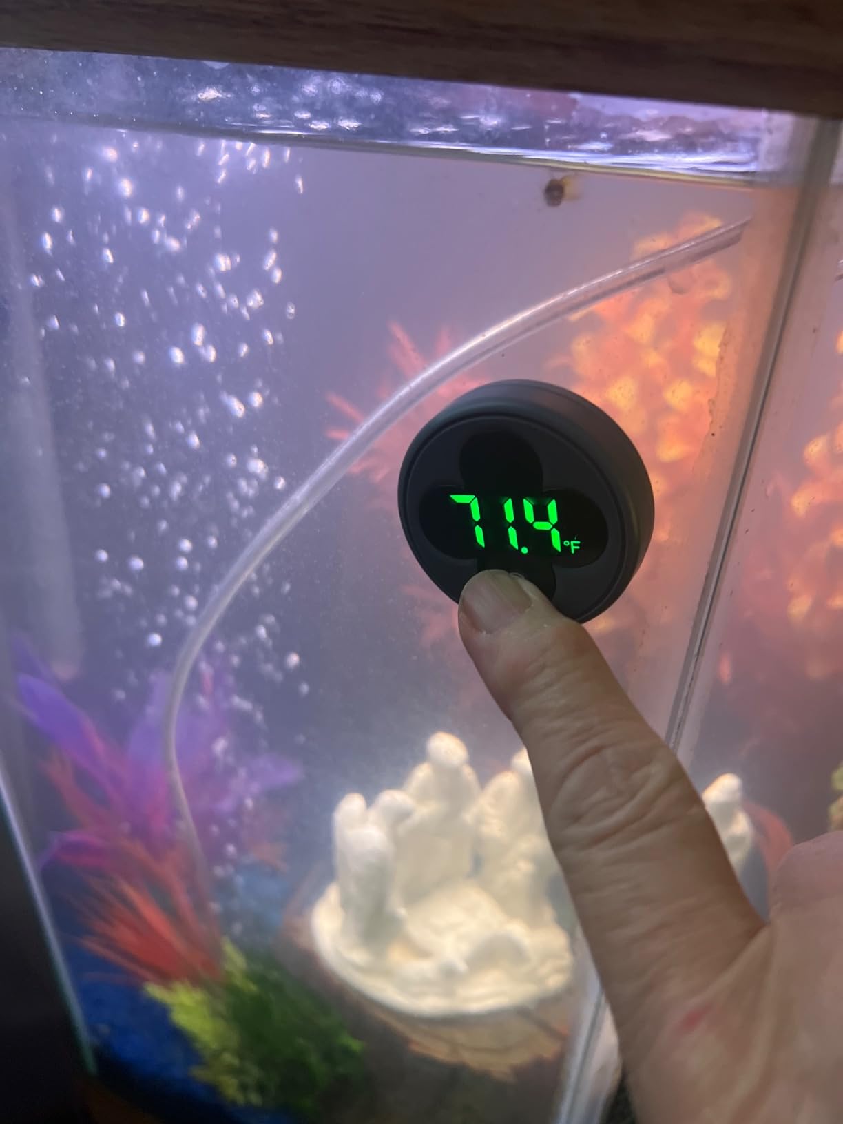 PAIZOO Wireless Aquarium Thermometer Accurate ±0.9℉, Replaceable Battery | LED Fish Tank Thermometer Digital, Switch Between ℉/℃, Aquarium Accessories for Fish Tank, Betta, Axolotl Tank or Aquatic customer photo 2