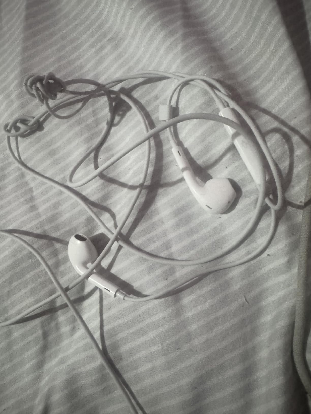 Apple EarPods Headphones with USB-C Plug, Wired Ear Buds with Built-in Remote to Control Music, Phone Calls, and Volume customer photo 2