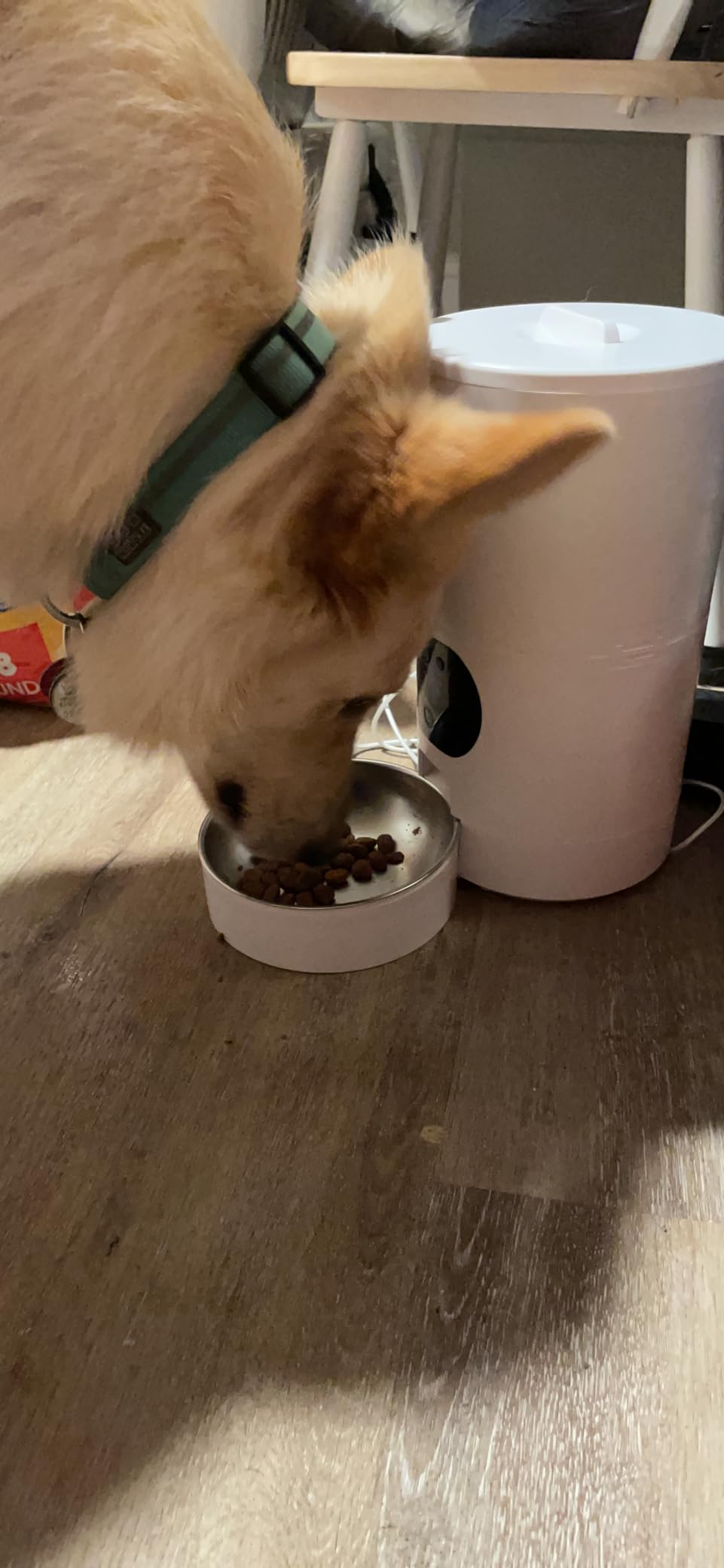 Automatic Dog Feeder Large Breed: 12L/50 Cup Capacity for Kibble up to 20mm customer photo 1