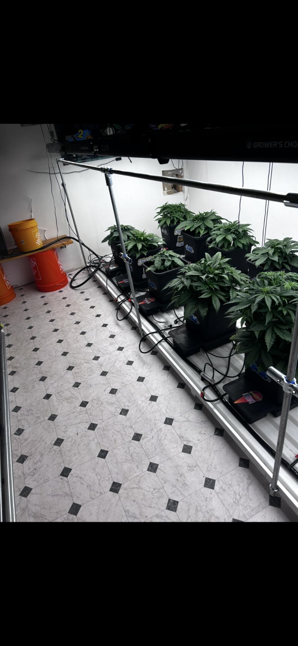 AC Infinity Outlet AI, Environment Controller, Smart WiFi Power Strip. | Dual-Zone Temperature Humidity, Individual Control 4 Plugs, AI Targeting, Thermostat Greenhouse Aquarium Terrarium Home 1800W customer photo 1