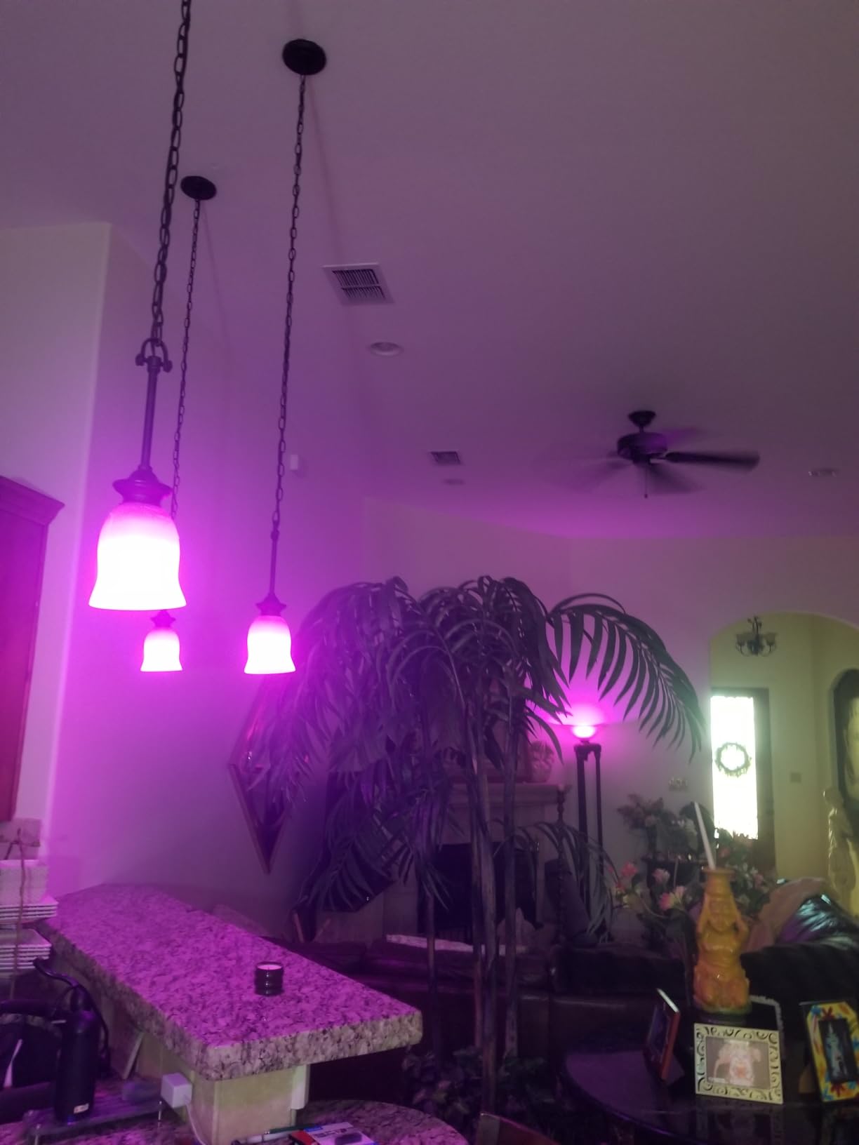 Philips Hue Essential Smart LED A19 Bulb, 4-Pack | White & Color Ambiance, E26, 7.2W, 2200K-6500K, 800 Lumens, Dimmable, Works with Alexa, Google Assistant, Apple Home customer photo 1