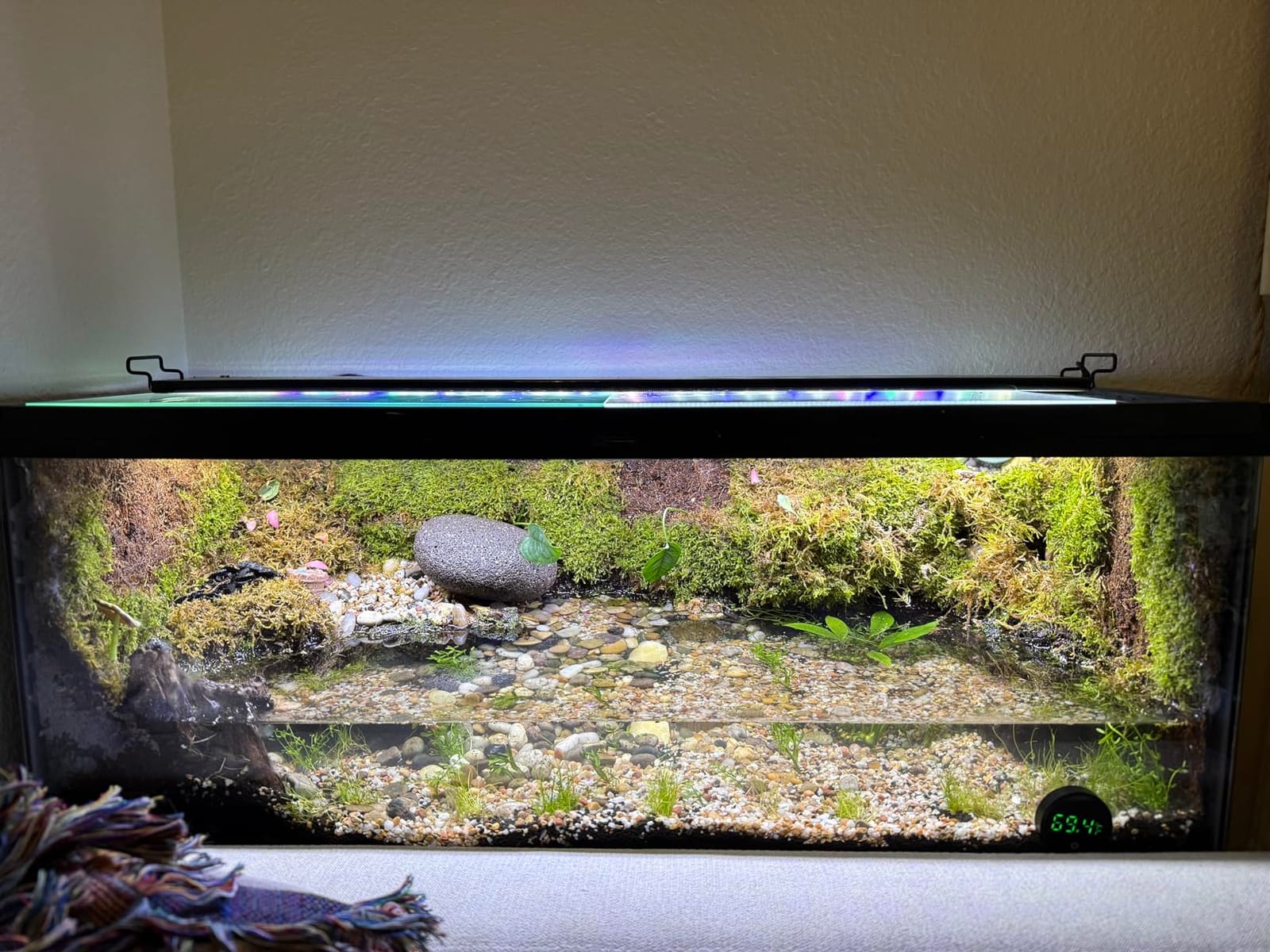 QZQ Fish Tank Thermometer Aquarium Thermometer Wireless Touch Stick Digital Aquarium Thermometer LED Display ±1°F for Monitoring The Fish Tank Aquarium Temperature Accessories (2 Pack Black) customer photo 2