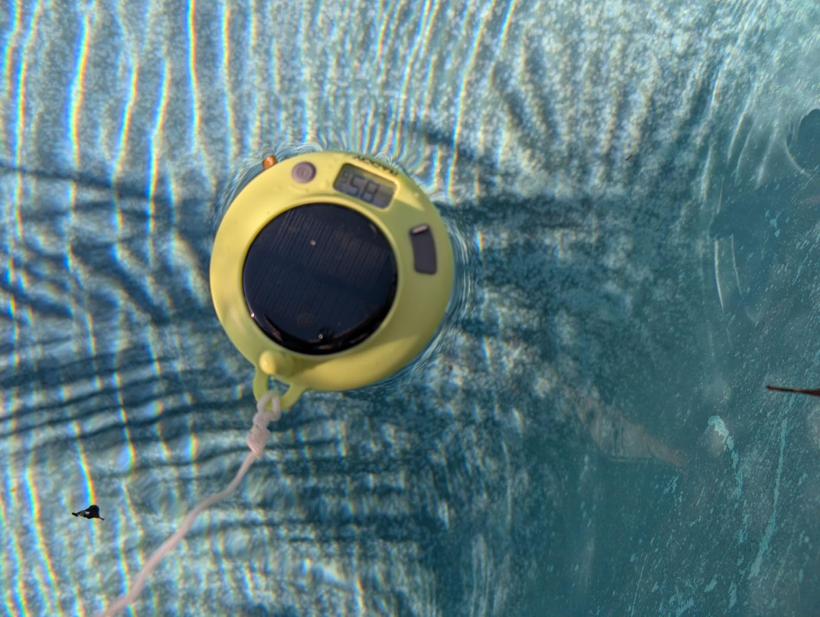 Raddy PT-5 WiFi Floating Pool Thermometer with App Control | Wireless indoor display, IPX8 waterproof, solar & USB-C rechargeable, for spa & pool customer photo 2
