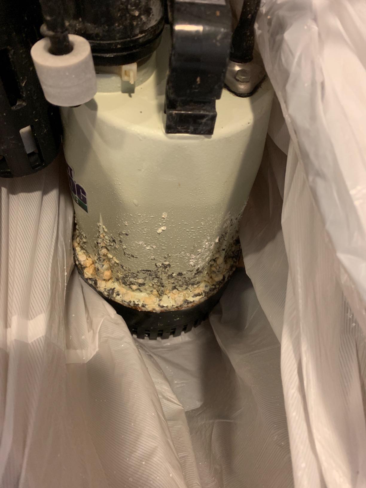 American Fluorescent Bw4000 1730 Gallons Per Hour Basement Watchdog Combination Primary and Back-Up Pump System customer photo 2
