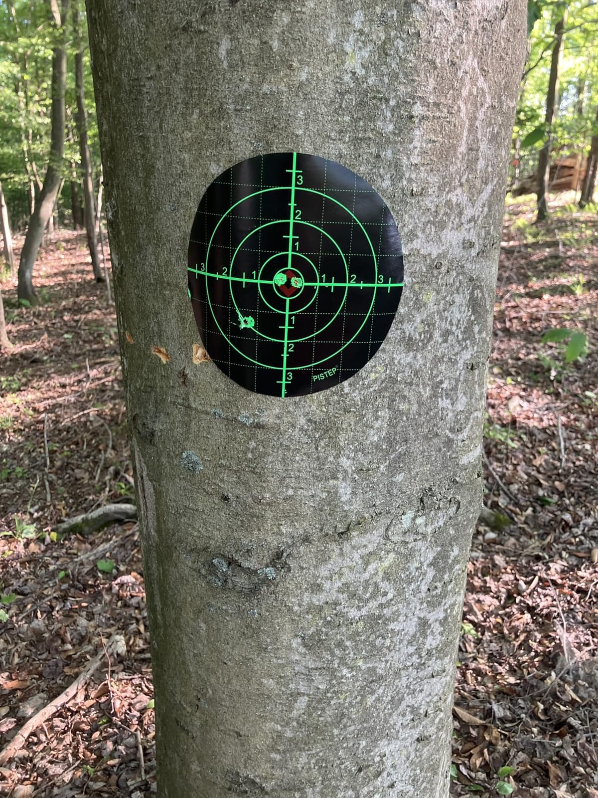 Gamo Silent Cat .177 Caliber Breakbarrel Pellet Air Rifle with 4x32 Scope customer photo 2