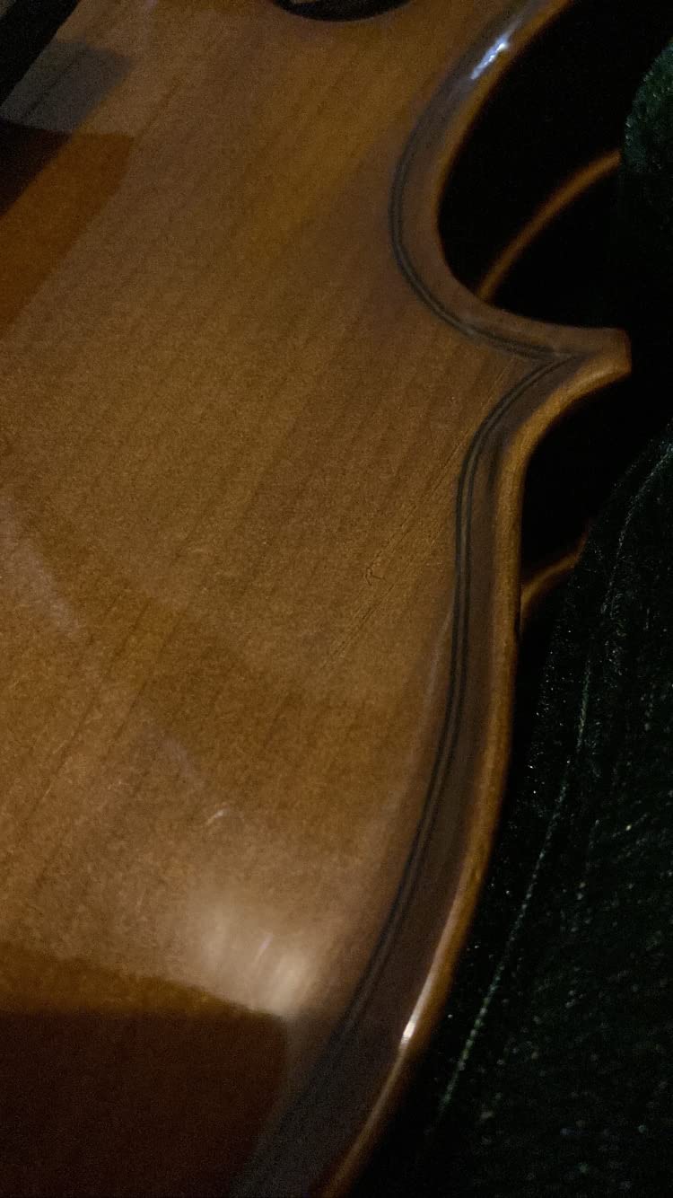 Cremona SV-130 Premier Novice Violin Outfit - 1/2 Size customer photo 2