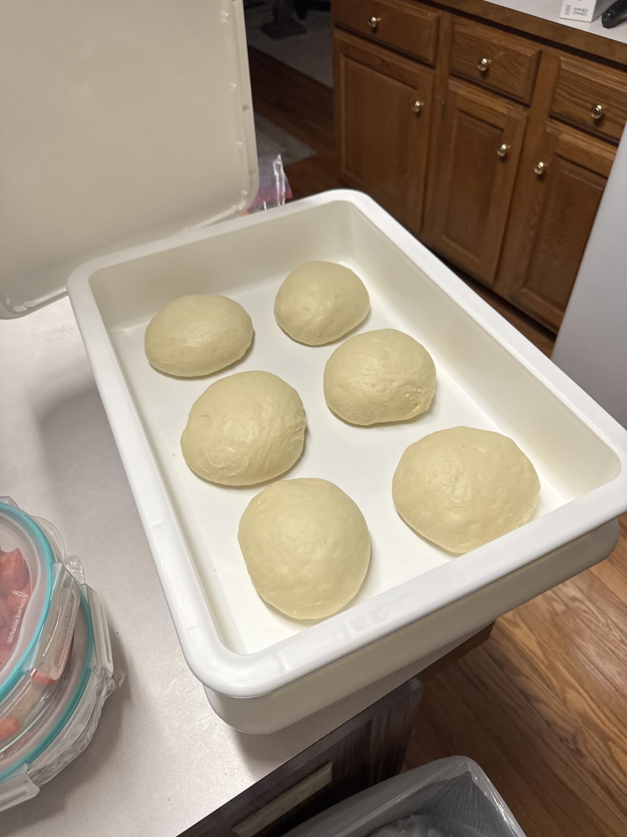 Pizza Dough Proofing Box & Tray Kit customer photo 2