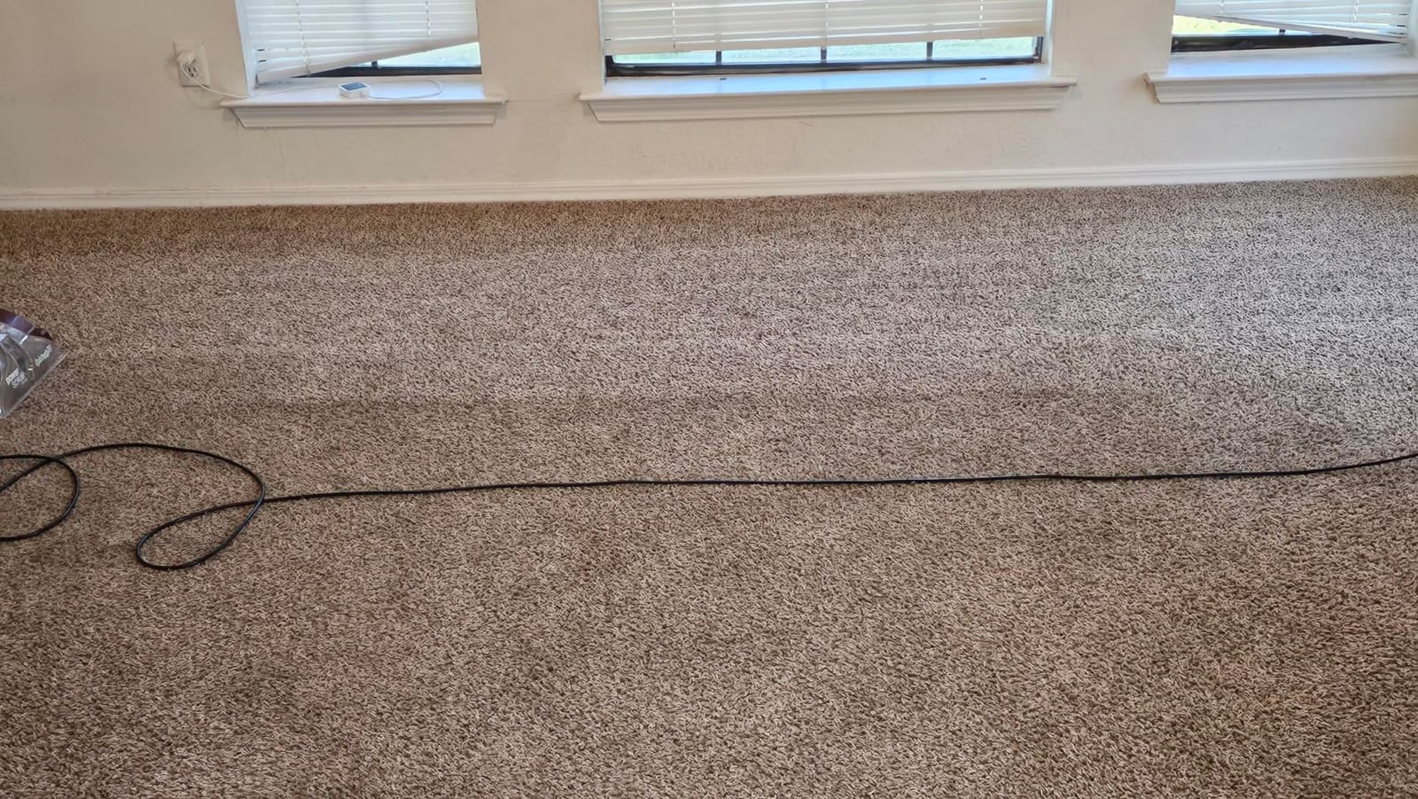 Hoover PowerScrub Deluxe Carpet Cleaner Machine, Pet & Upholstery Tools | Deep Cleaning Carpet Shampooer Machine, SpinScrub Brushes, HeatForce Drying, Pair with Hoover Carpet Cleaner Solution customer photo 2