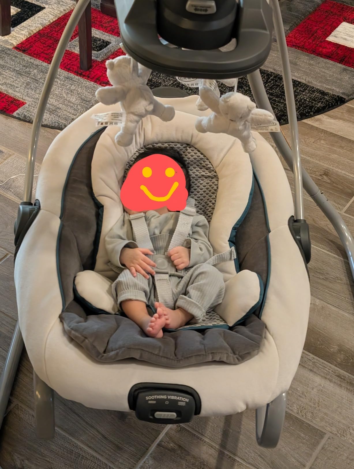 Graco DuetSoothe 2-in-1 Portable Baby Swing & Rocker, Sapphire customer photo 1