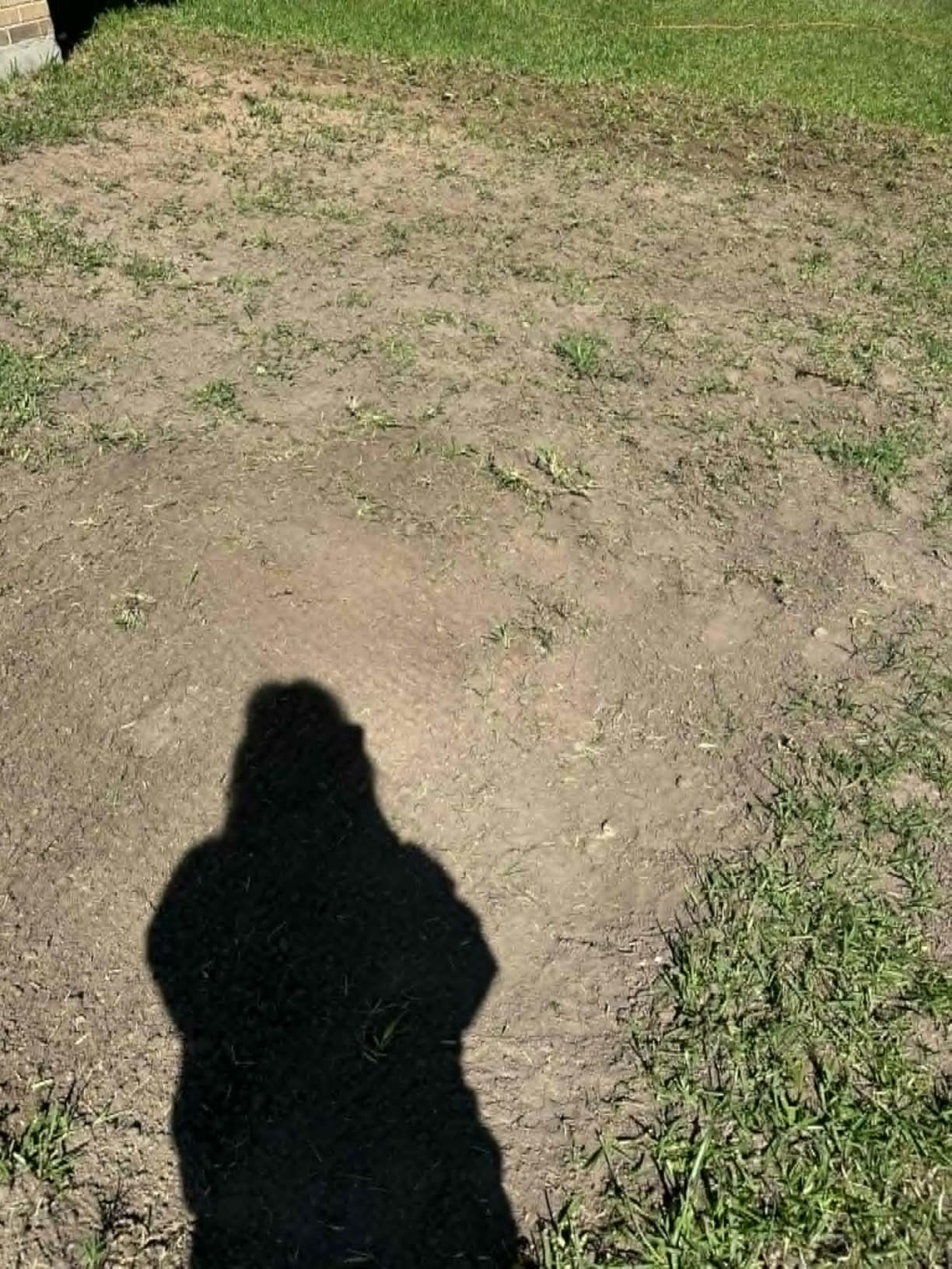 Sun Joe Corded Electric Garden Tiller & Cultivator with Steel Tines, TJ603E customer photo 1