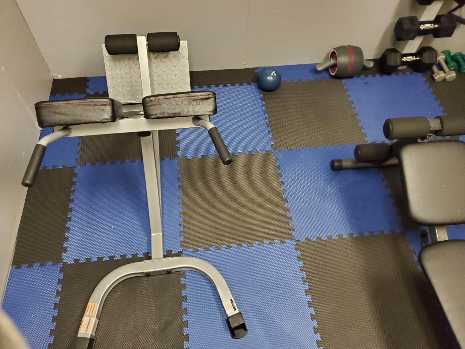CAP Barbell Strength Hyperextension customer photo 2