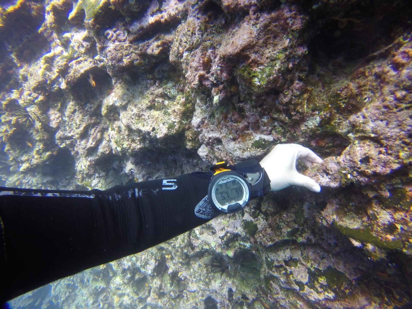 CRESSI Leonardo 2.0 Scuba Dive Watch, Single-Button Air Nitrox Gauge, Black customer photo 2