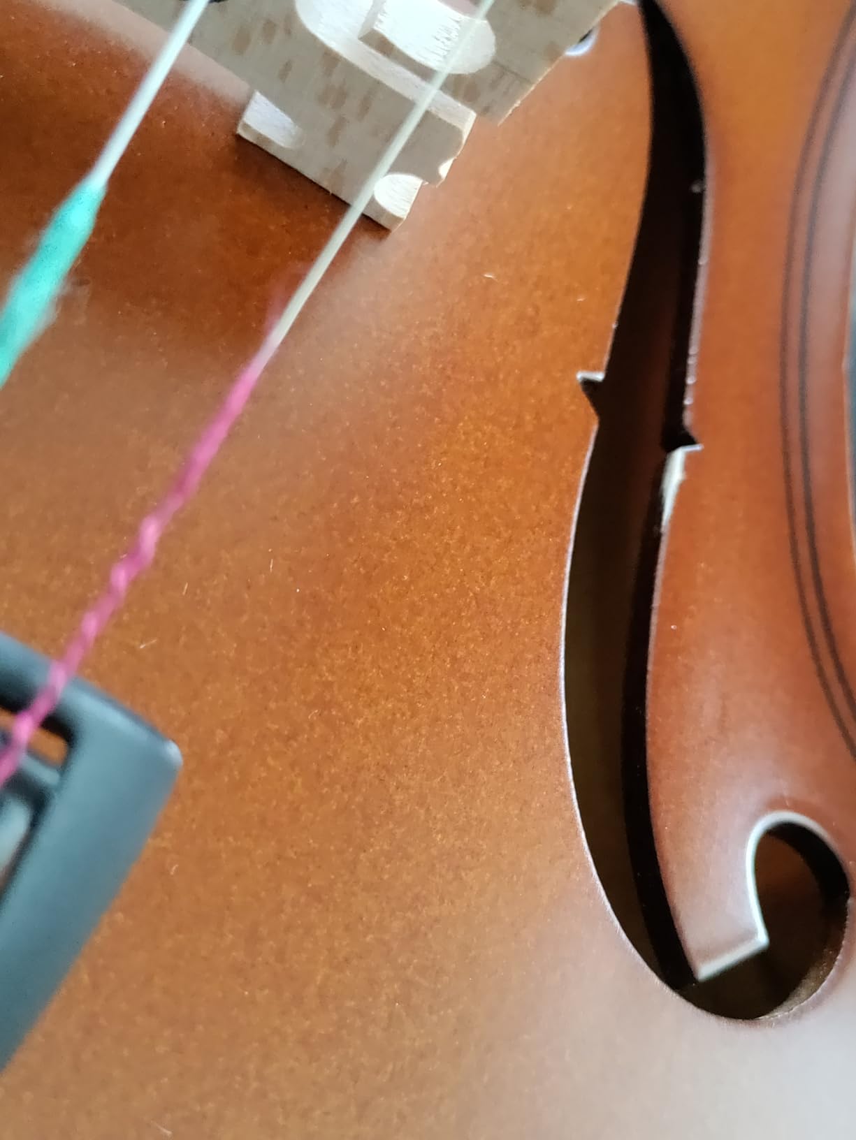 Paititi Student Violin Starter Kit with Case and Shoulder Rest - 1/4 customer photo 1