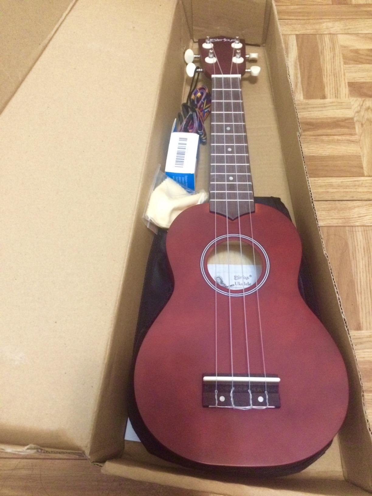 Everjoys Soprano Ukulele Beginner Kit 21 Inch w/Free Online Lesson Gig Bag Tuner Picks Strap, Fast to Learn (Rainbow String) customer photo 1