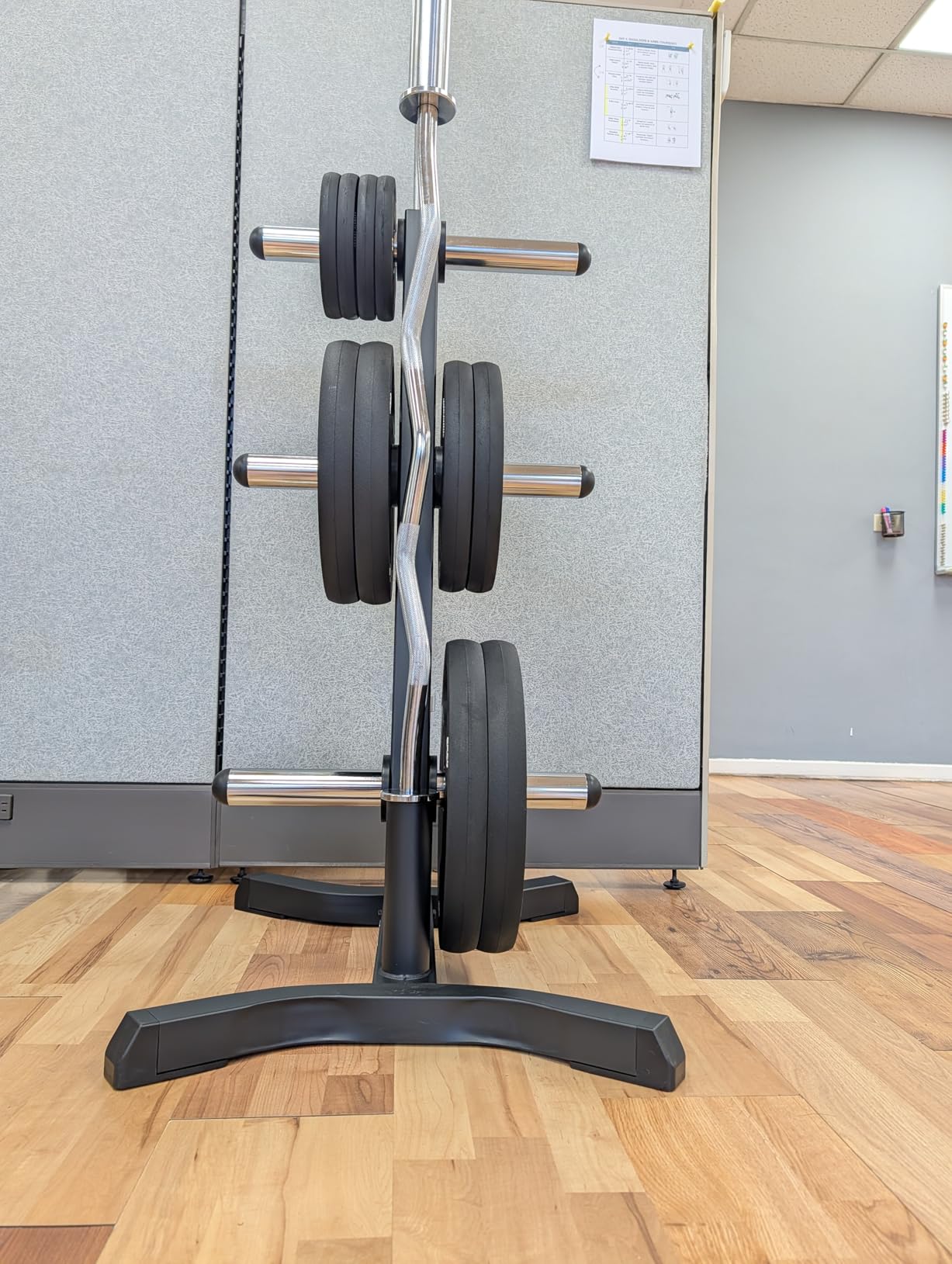 Fitness Reality X-Class Olympic Weight Tree - Heavy-Duty Bumper Plate Rack for Home Gym - Chrome Storage Posts - Includes 2 Barbell Holders - 1,000 Lb. Capacity customer photo 2