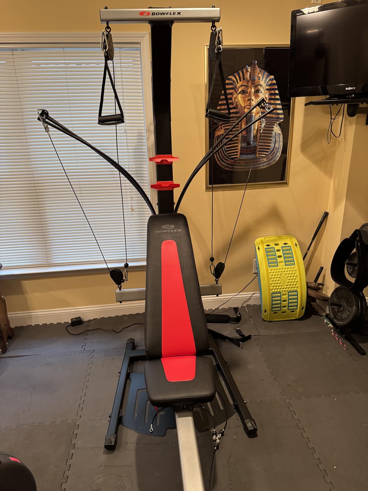 BowFlex Home Gym Workout Systems customer photo 1