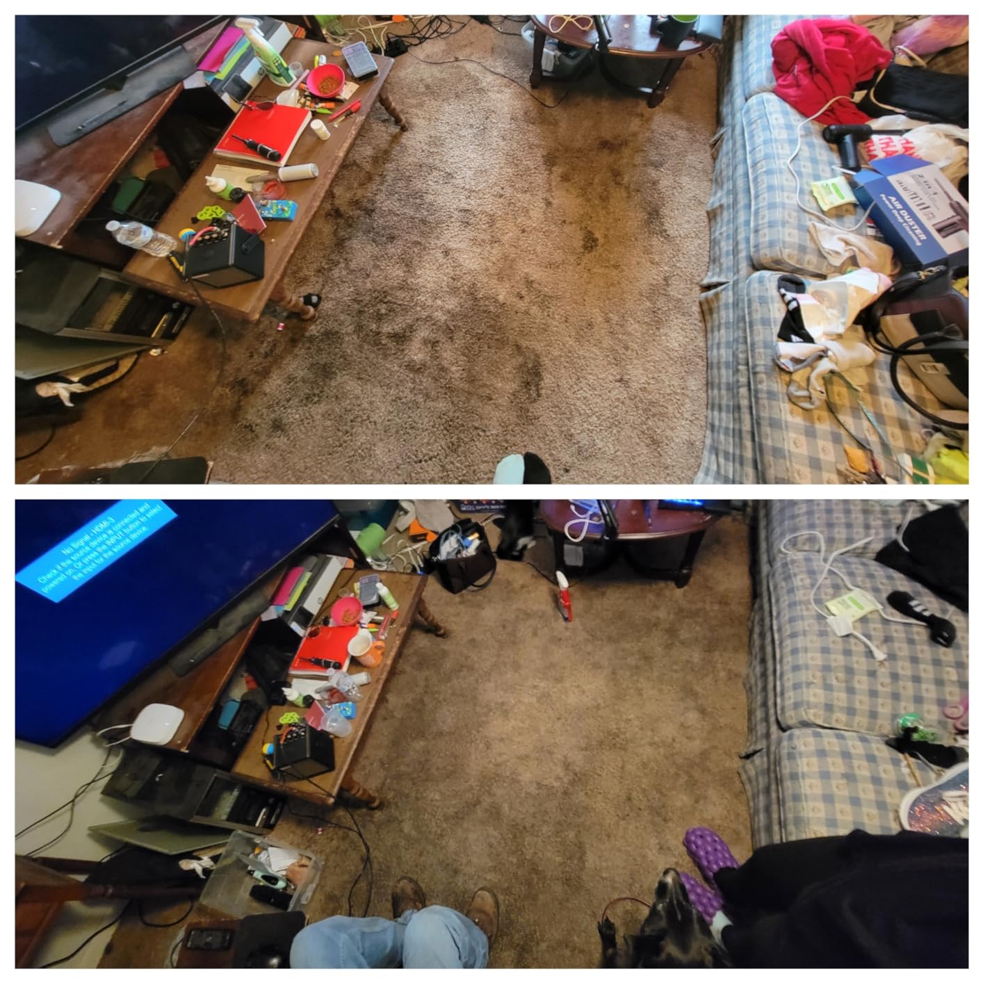 PurSteam 10-in-1 Steam Mop, Floor Steamer with Detachable Handheld Steam Cleaner for Tile, Hardwood Floors customer photo 1