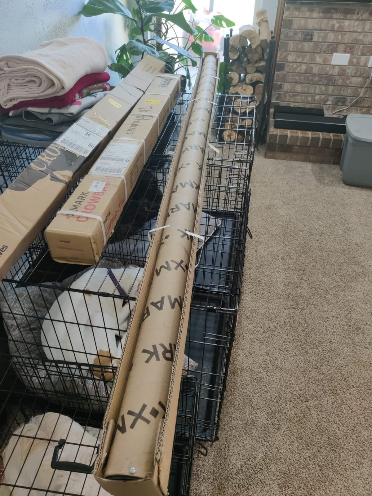 XMARK Crowbar Olympic Barbell, 20kg Training Bar, 28mm Shaft, Center Knurl, Built for Strength Training and Olympic Lifts customer photo 1