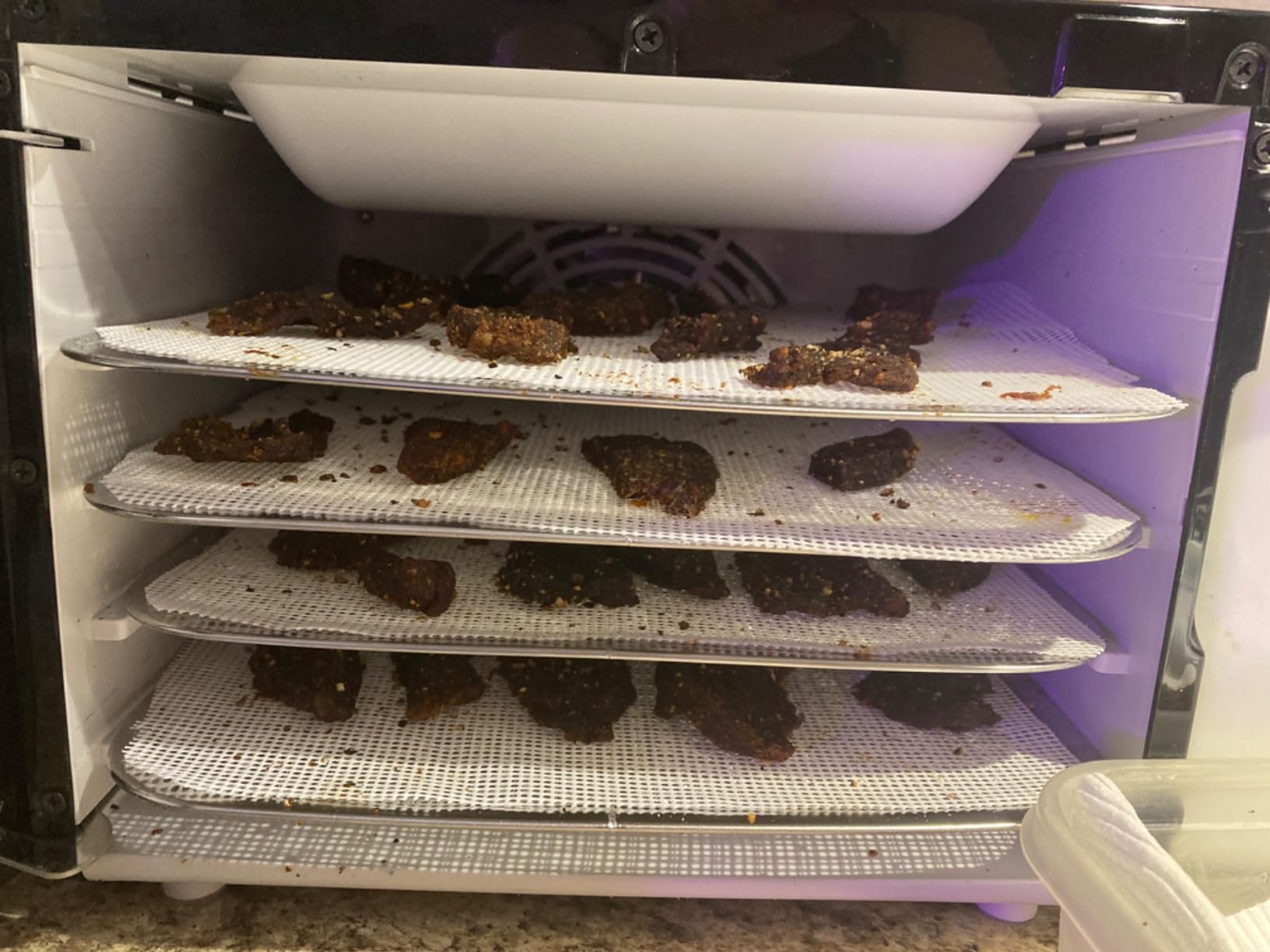 Elite Gourmet Food Dehydrator, Stainless Steel Trays, Adjustable Temp | Jerky, Fruit, Herbs, Veggies & Mushrooms, EFD308 customer photo 2
