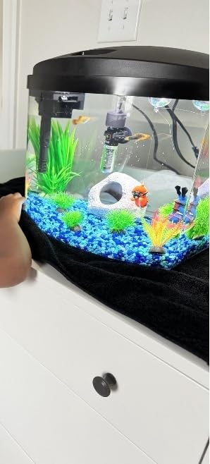 Aqueon MiniBow Small Aquarium Starter Kit, All-in-One Desktop Fish Tank for Betta, Shrimp or Small Fish, Includes SmartClean Filter Technology, LED Light and Conditioner, Black, 5 Gallon customer photo 2