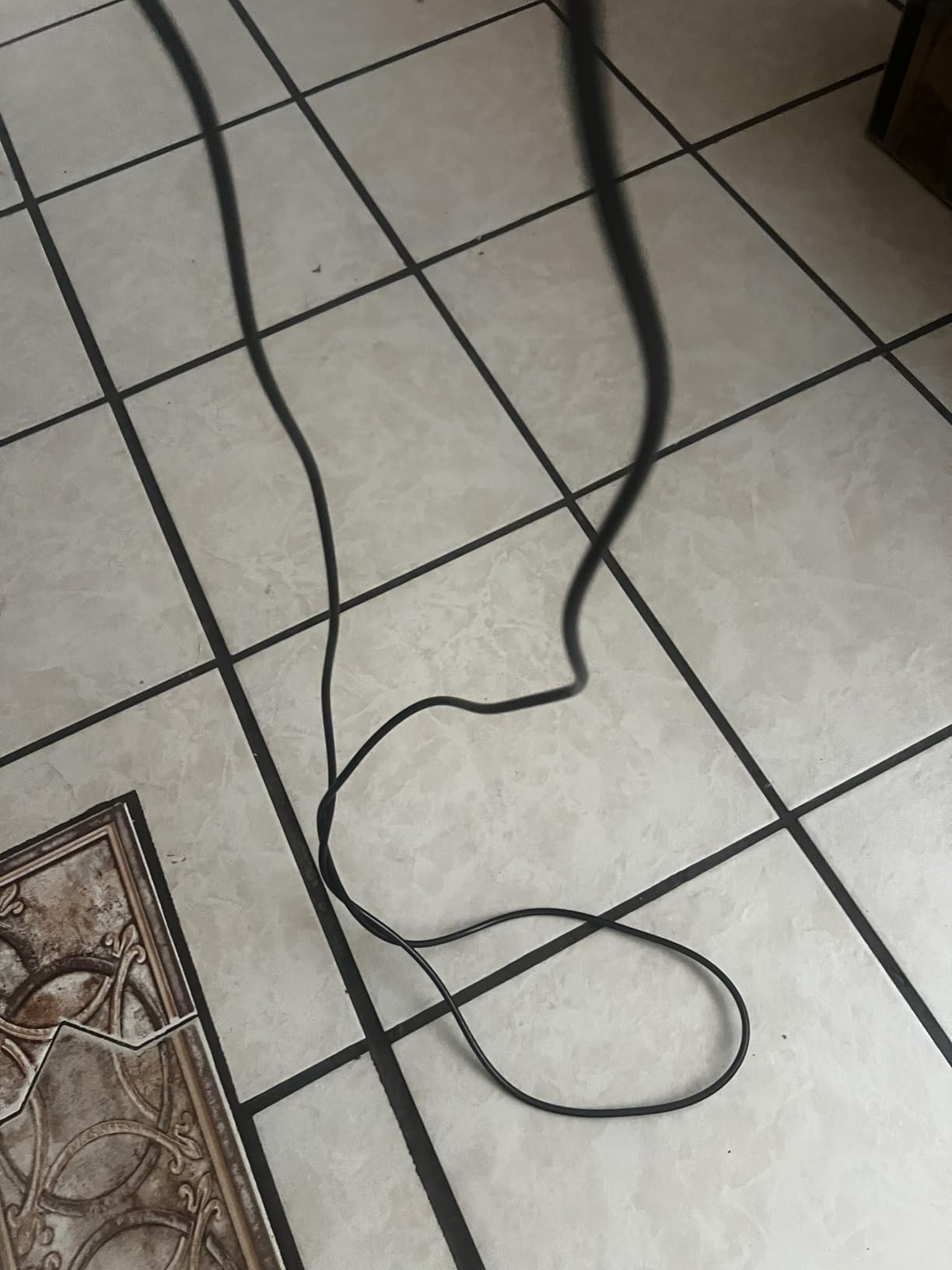 RENPHO Smart Jump Rope with Counter, App Data Tracking, LCD Display | App Data Storage & Analysis, Tangle-Free Design, Adjustable Workout Rope customer photo 2