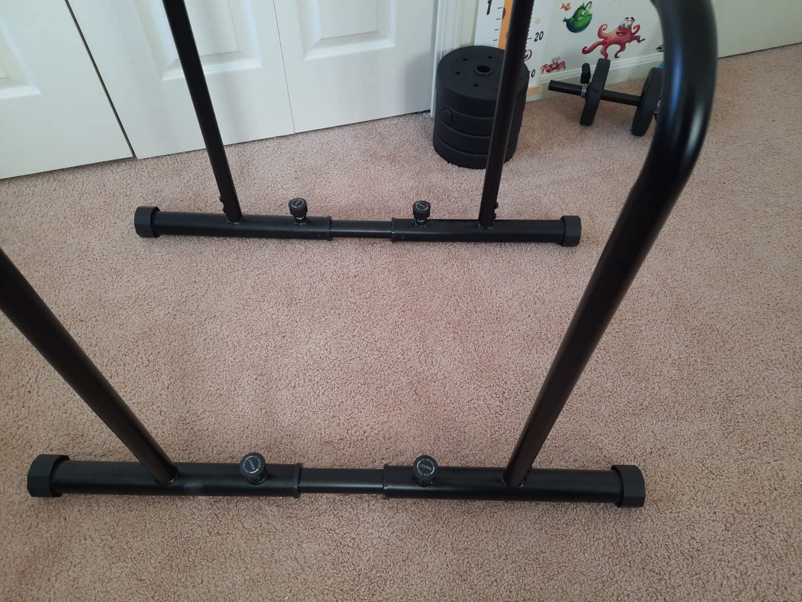 Dripex 1100lbs Adjustable Dip Bar Heavy Duty Steel Dip Station customer photo 1