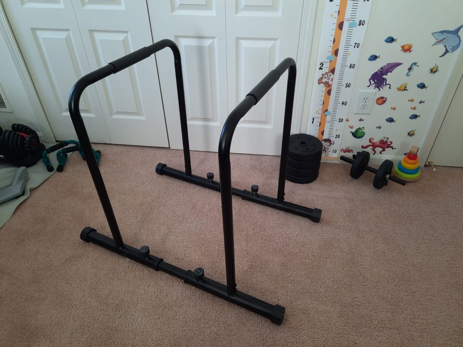 Dripex 1100lbs Adjustable Dip Bar Heavy Duty Steel Dip Station customer photo 2
