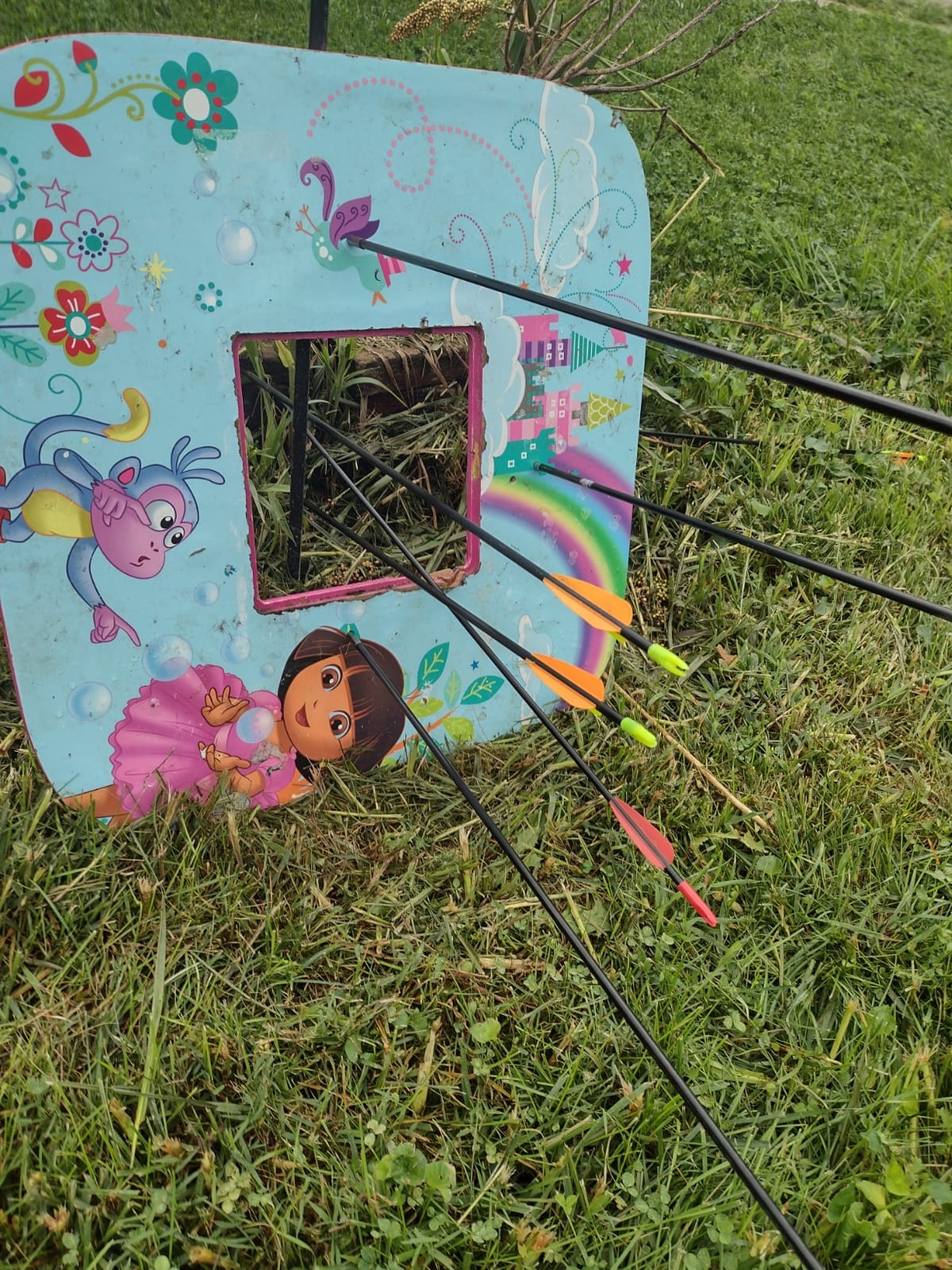 Compound Bow Archery for Youth and Beginner, Right Handed,19”-28” Draw Length,15-29 Lbs Draw Weight, 260 fps customer photo 2
