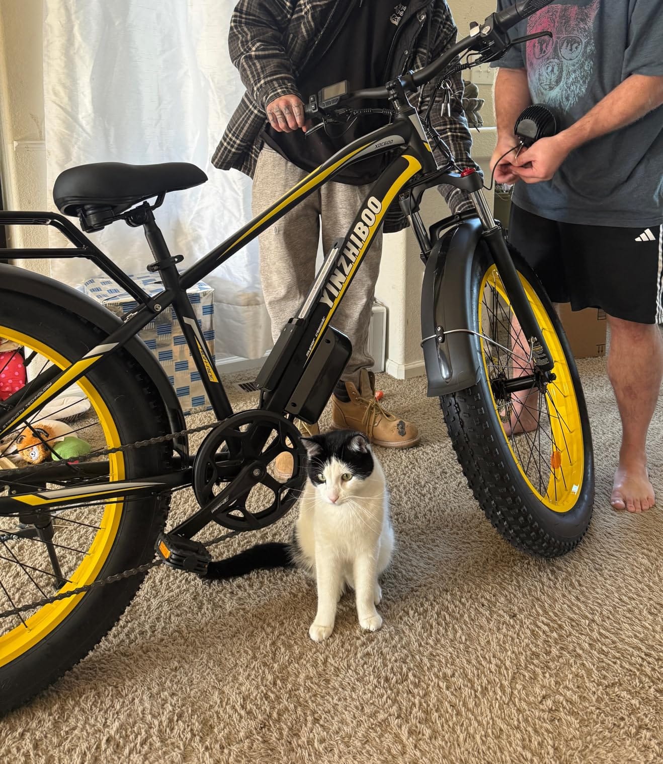Electric Bike for Adults, Fat Tire Ebikes customer photo 1