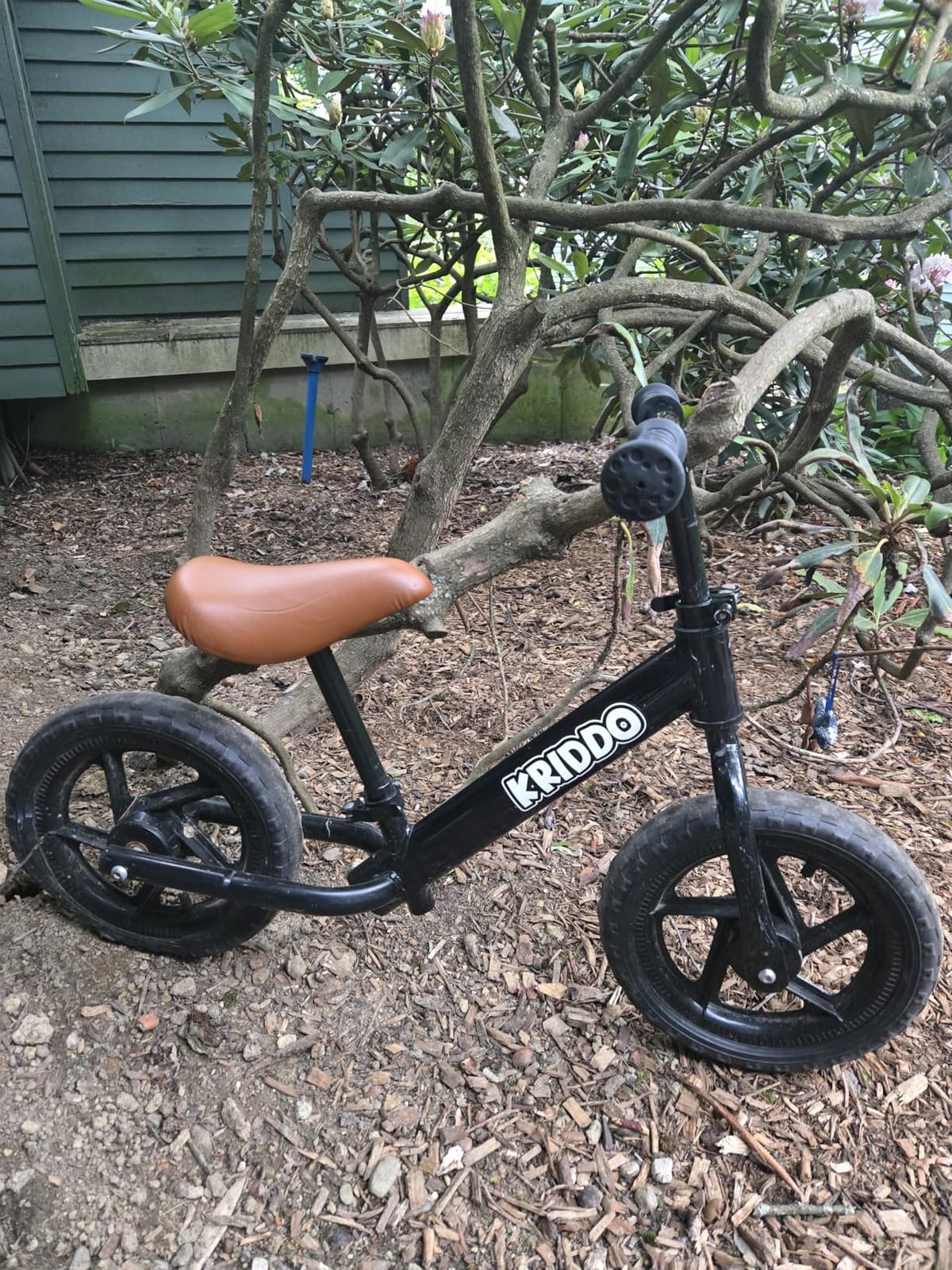 KRIDDO Toddler Balance Bike 2 Year Old, Gift for 2-3 Boys Girls, Adjustable customer photo 2