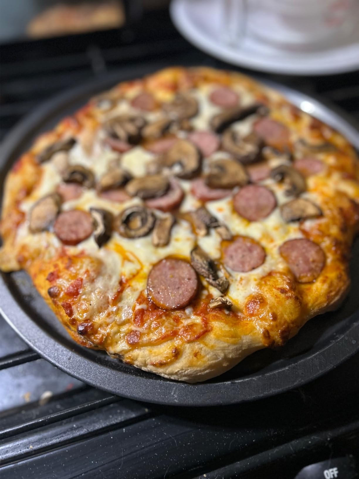Outdoor Wood-Fired Pizza Oven Patio Pizza Maker for Backyard customer photo 2