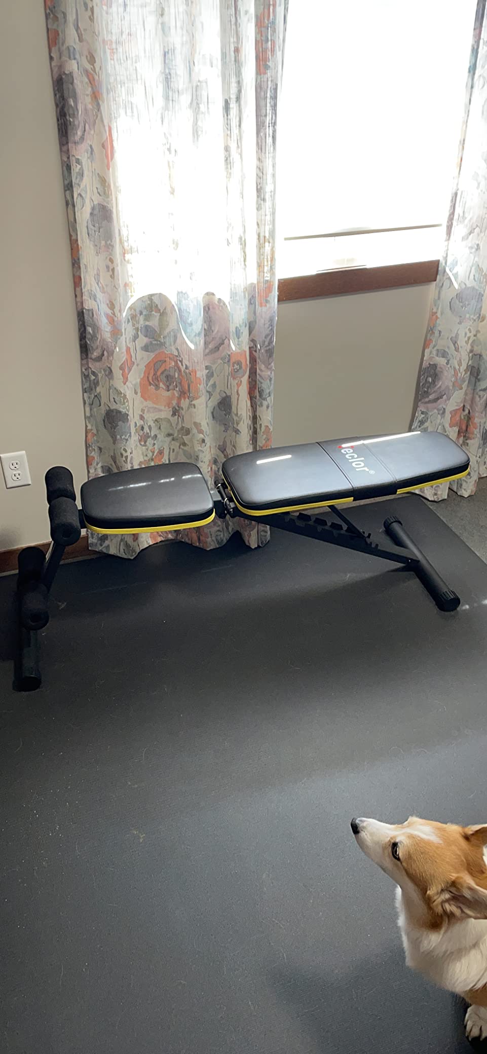 Teclor Adjustable Weight Bench, Foldable Workout Benches for Home Gym, 10 Backrest Position Exercise Bench for Strength Training, Upgraded Thickened Steel Support Max Capacity 700LBs customer photo 1