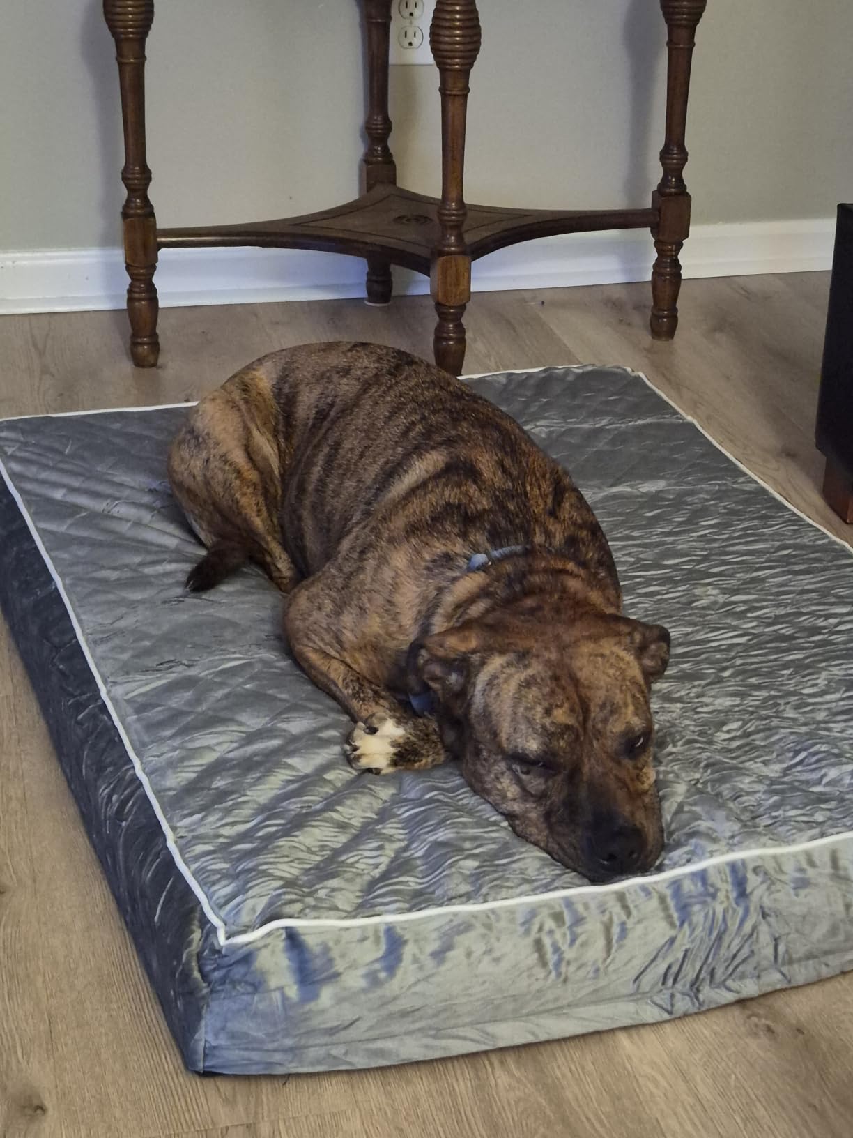 WNPETHOME Orthopedic Waterproof Extra Large Senior Dogs Bed for Comfy Sleep customer photo 2