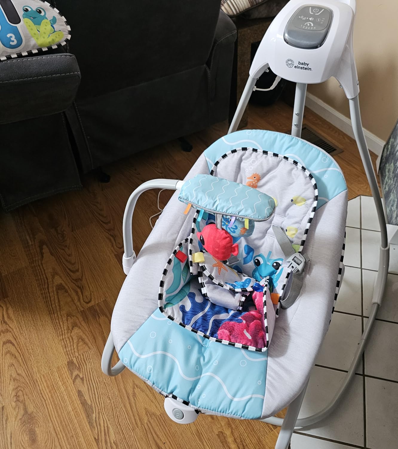 Baby Einstein Curious Comfort Portable Baby Swing, Newborn to 9 Months customer photo 2