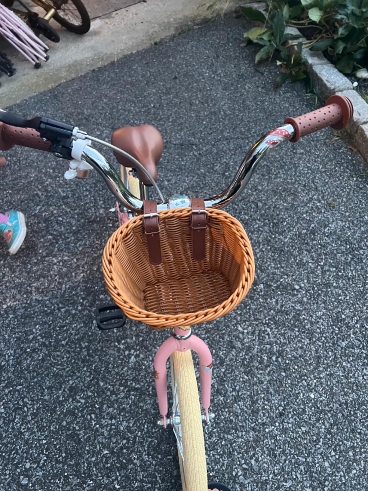 Retrospec Beaumont Mini 16in Kids Bike with Training Wheels & Basket - Beginner Bicycle for 4-6 Year Olds, Low-Profile Frame, V-Brakes & Safety Bell customer photo 1