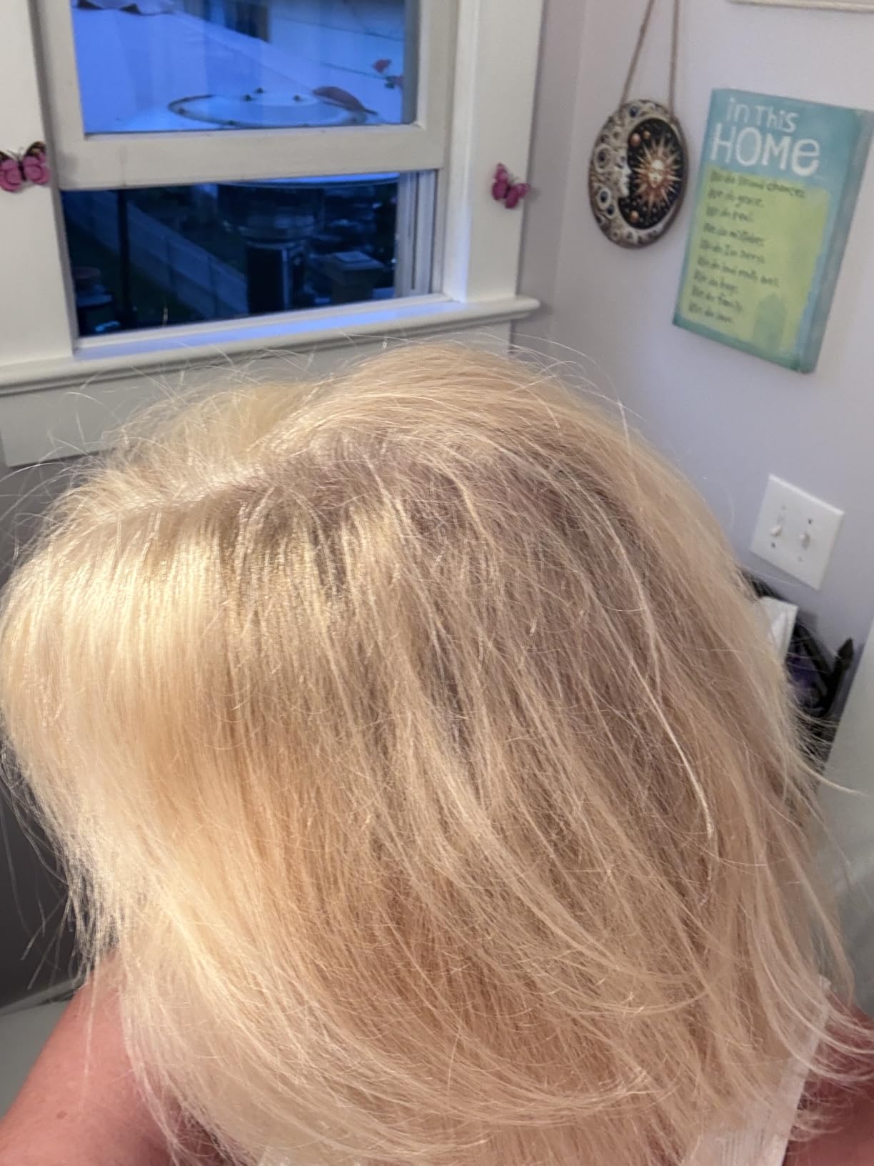 ELLA BELLA® Ionic Hair Dryer with Diffuser - Negative Ion Blow Dryer, Quiet customer photo 1
