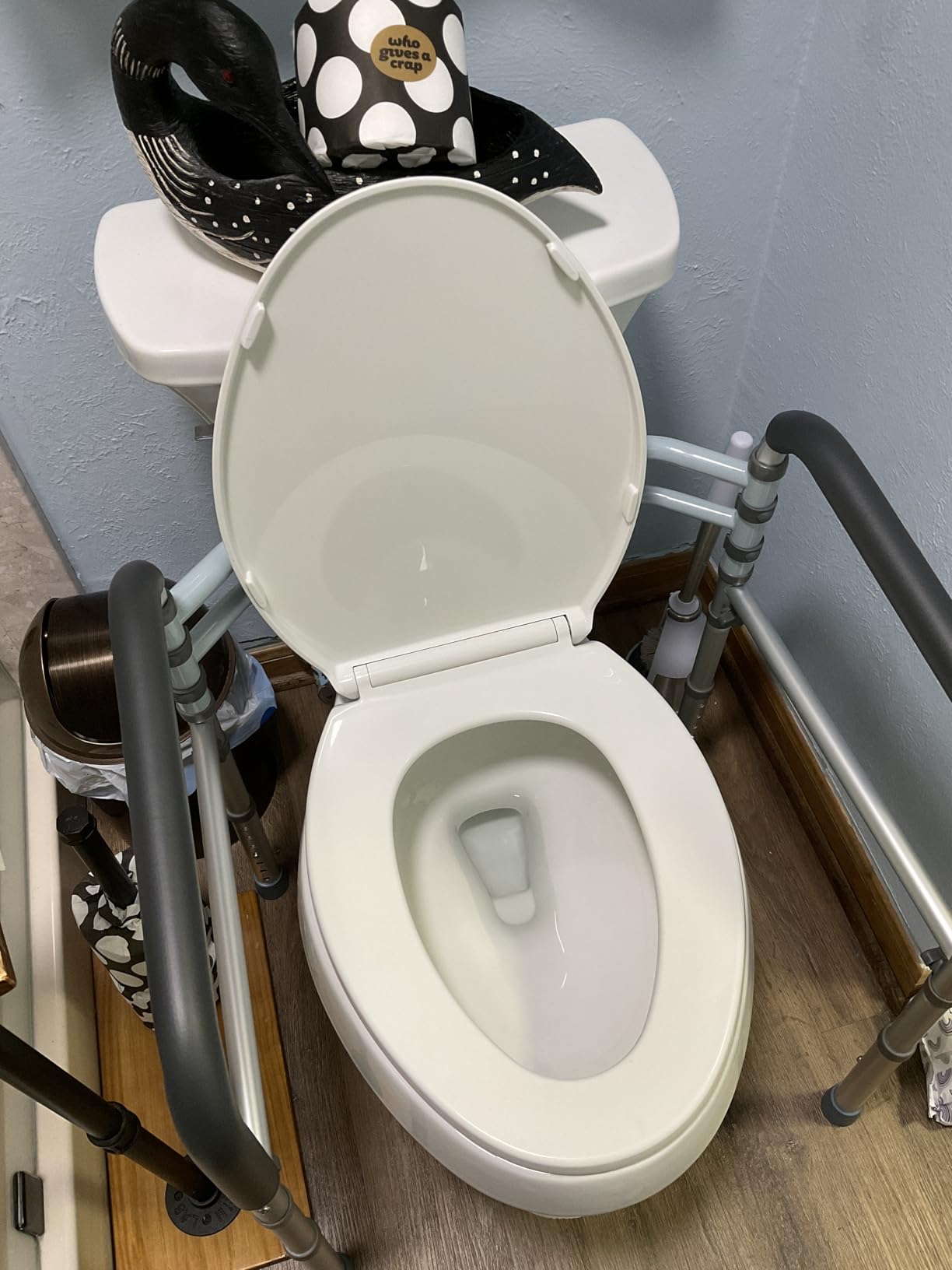 Lianjindun Toilet Safety Rails, 350 lbs, Adjustable Height & Width customer photo 2