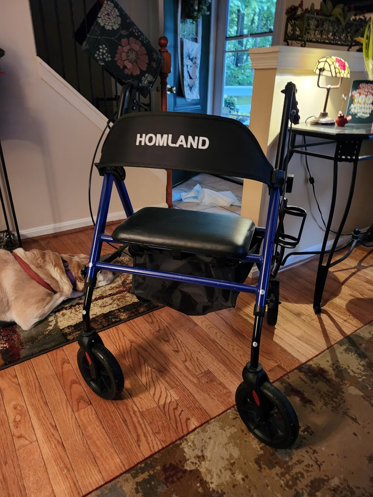 HOMLAND Foldable Rollator Walkers for Seniors with Seat, 17 lb Lightweight customer photo 2